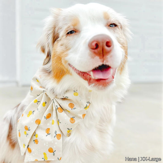 Citrus Blossoms Bow