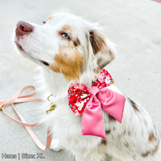 Spring Blossom Sailor Bow | Red