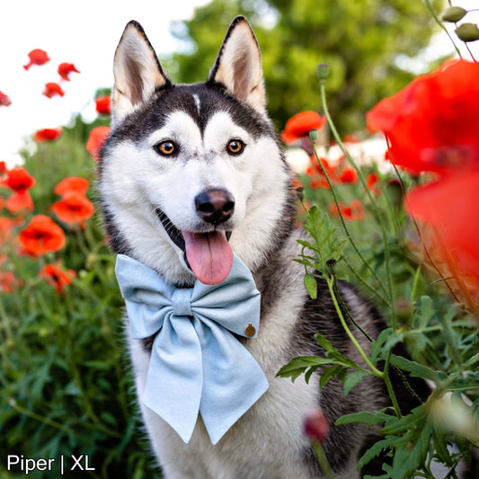 Pastel Blue Bow