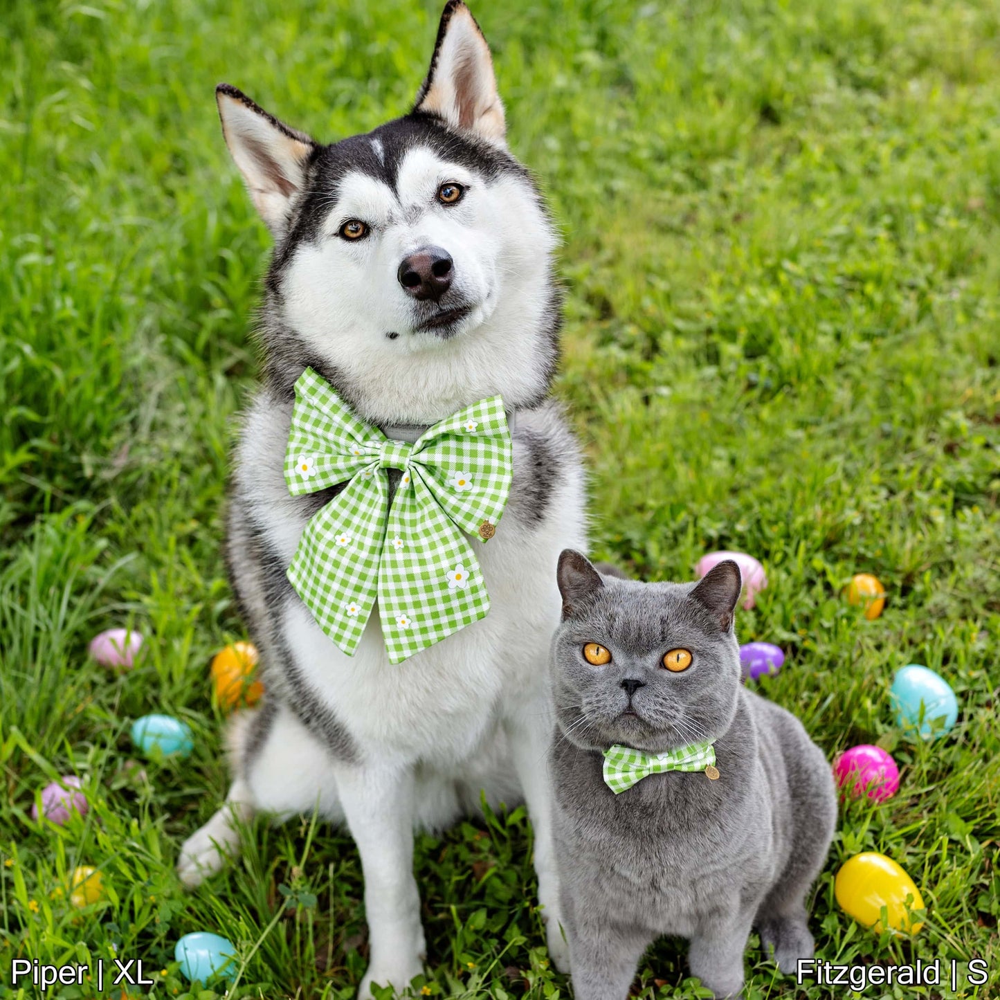 Sunny Eggdrop Bow