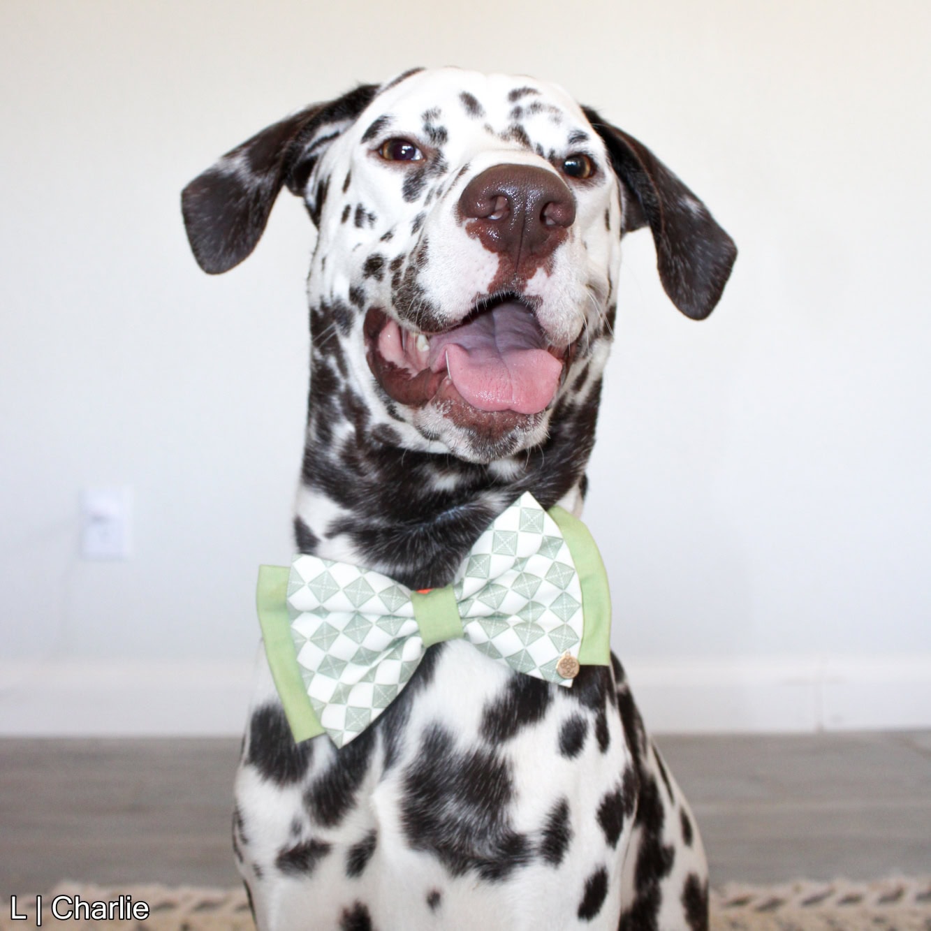 Harley Bow | Green