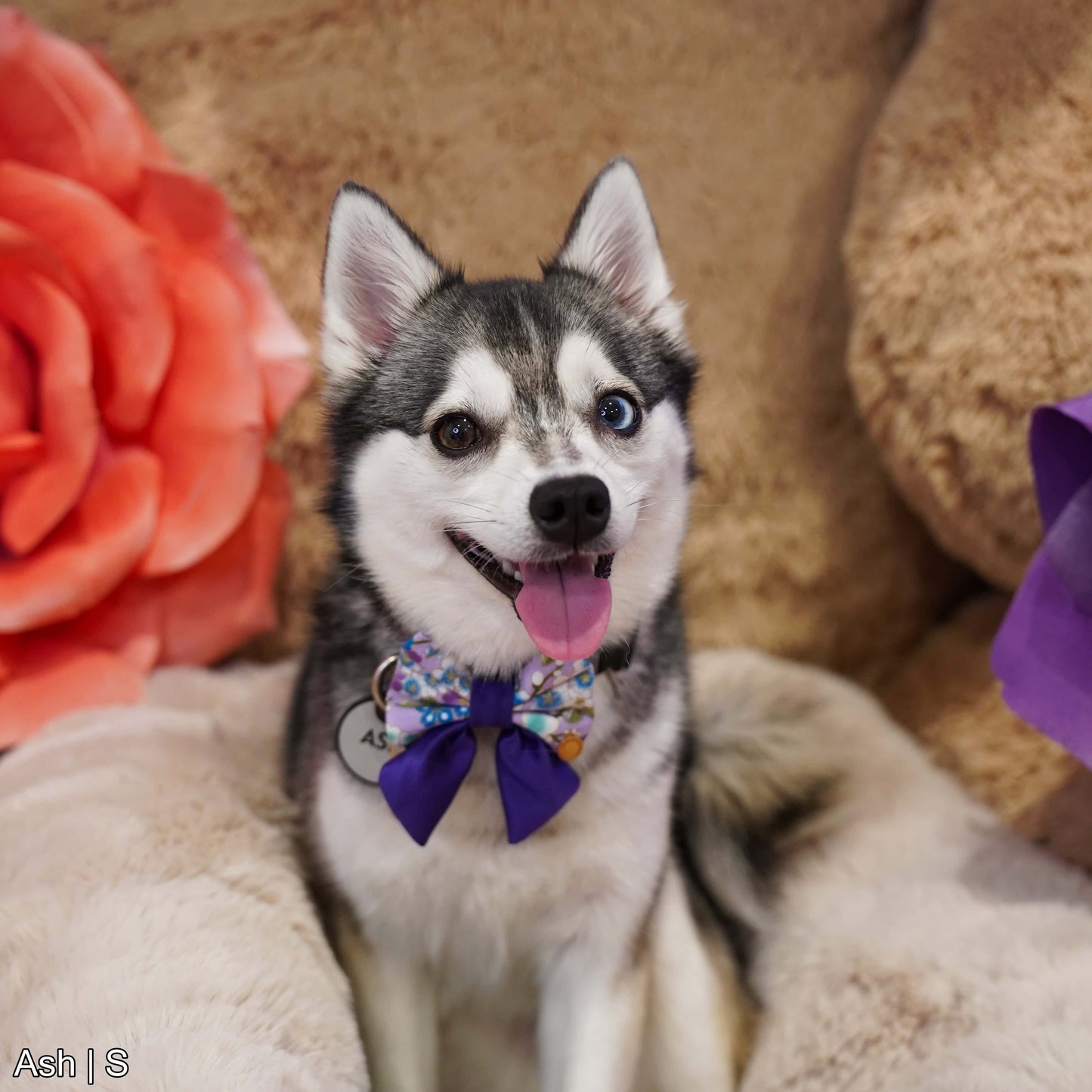 Spring Blossom Sailor Bow | Purple