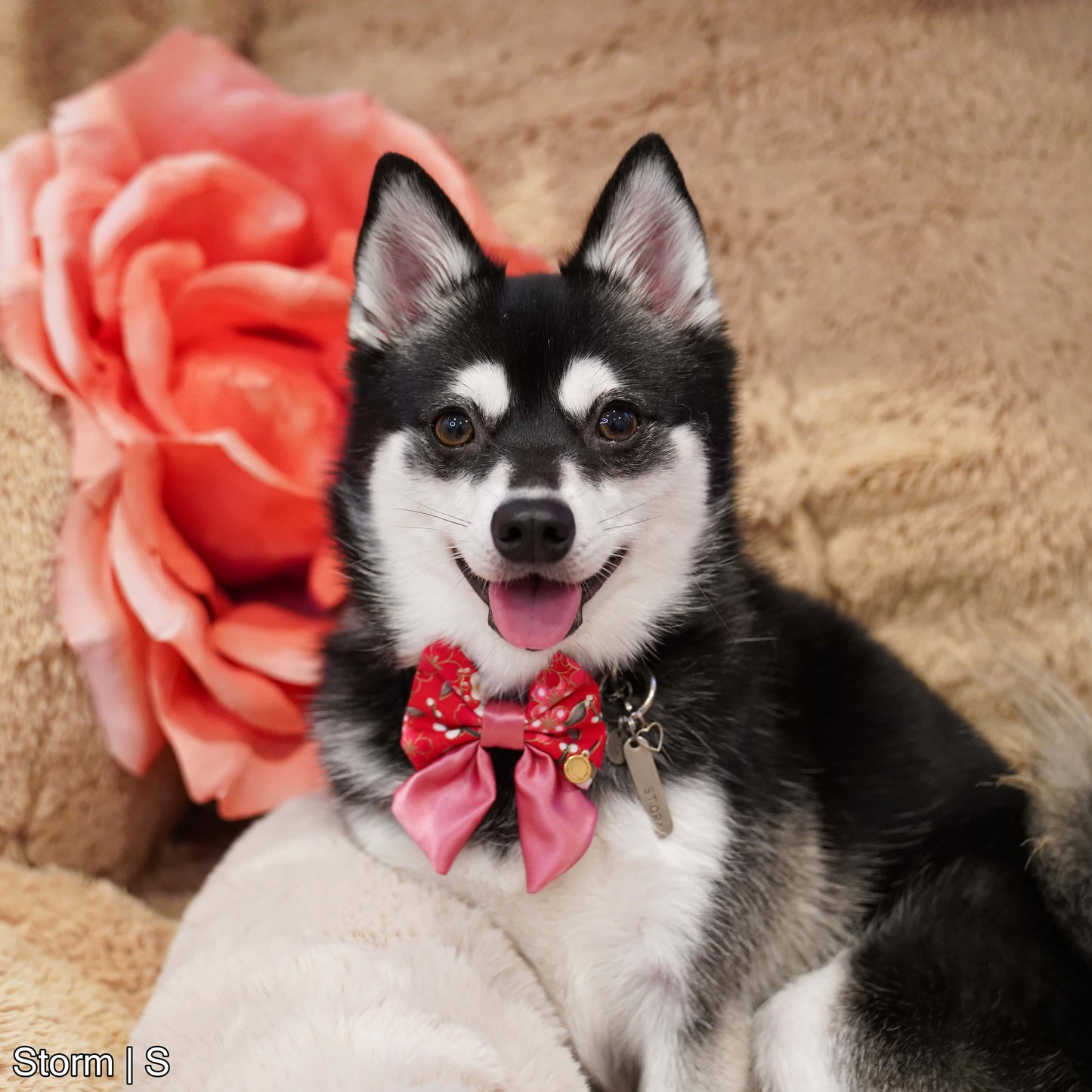 Spring Blossom Sailor Bow | Red