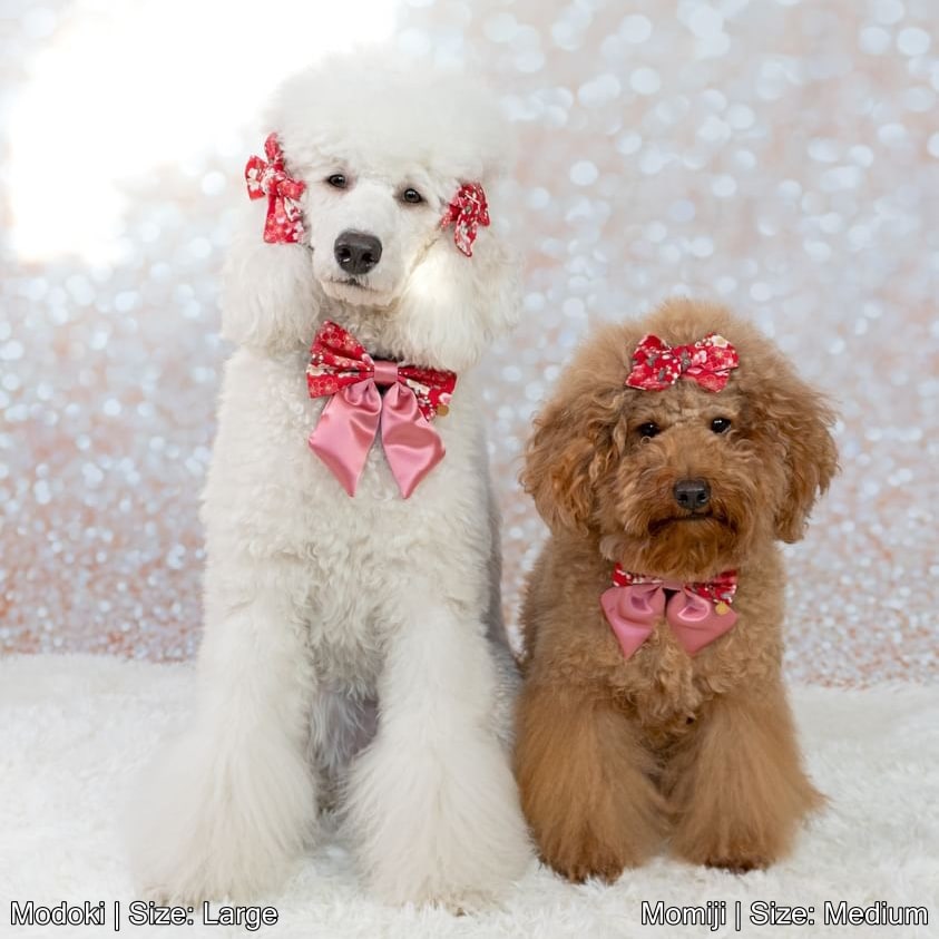 Spring Blossom Sailor Bow | Red