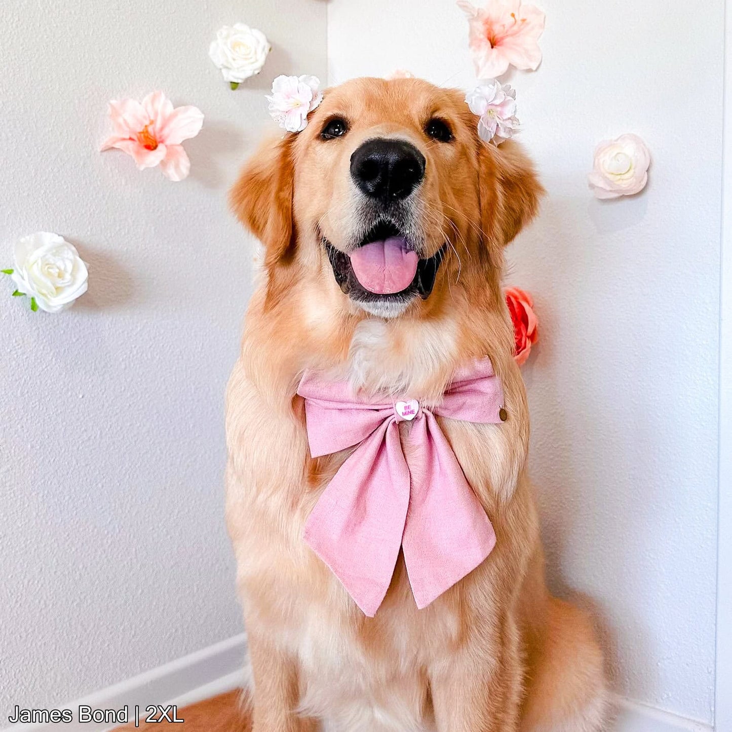 Dusty Rose Bow