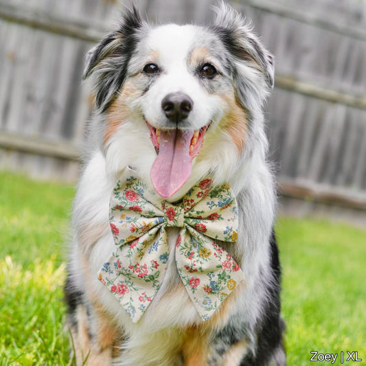 Coquette Bow | Colorful