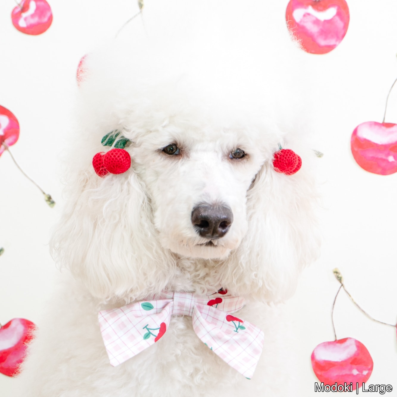 Mon Cherry Bowdana