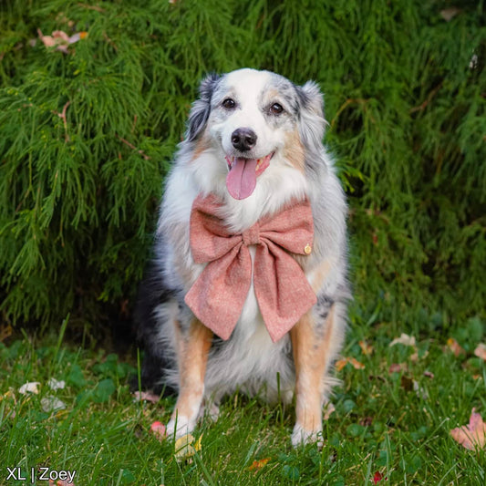 Autumn Herringbone Bow