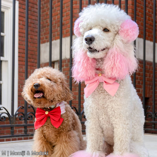 Sailor Bowdana | Pink