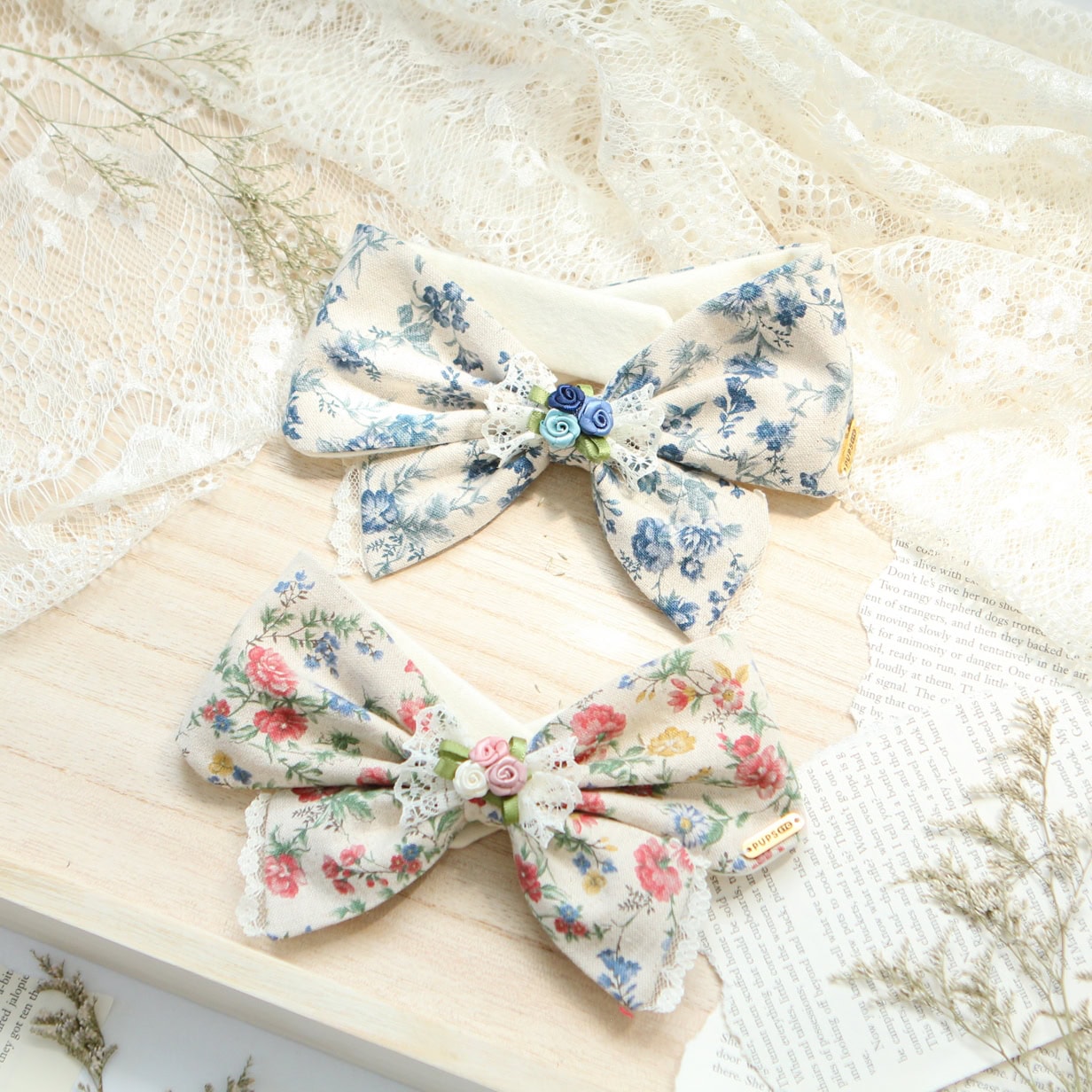 Coquette Bowdana | Colorful