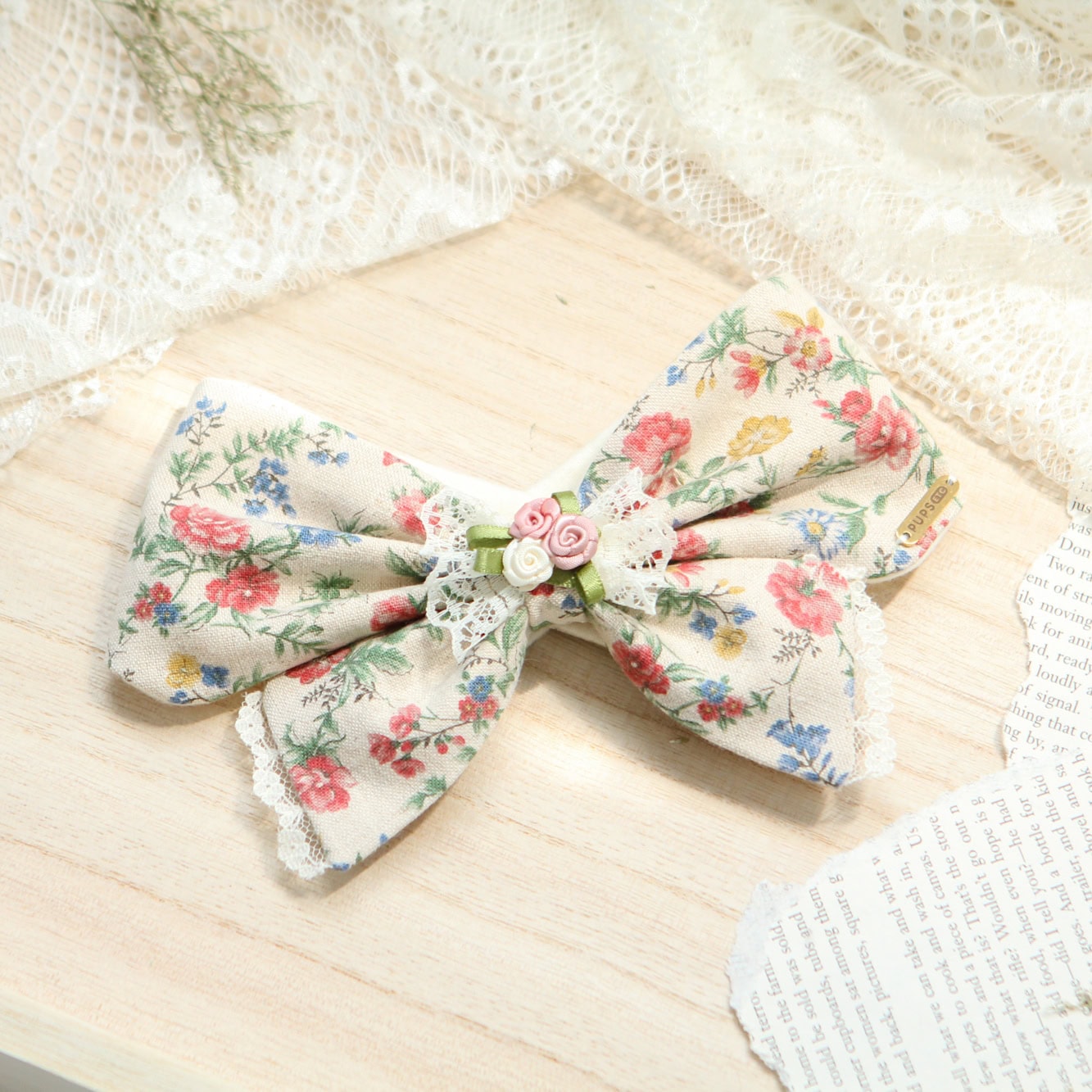 Coquette Bowdana | Colorful