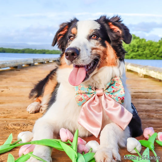 Sakurachō Bow | Blue