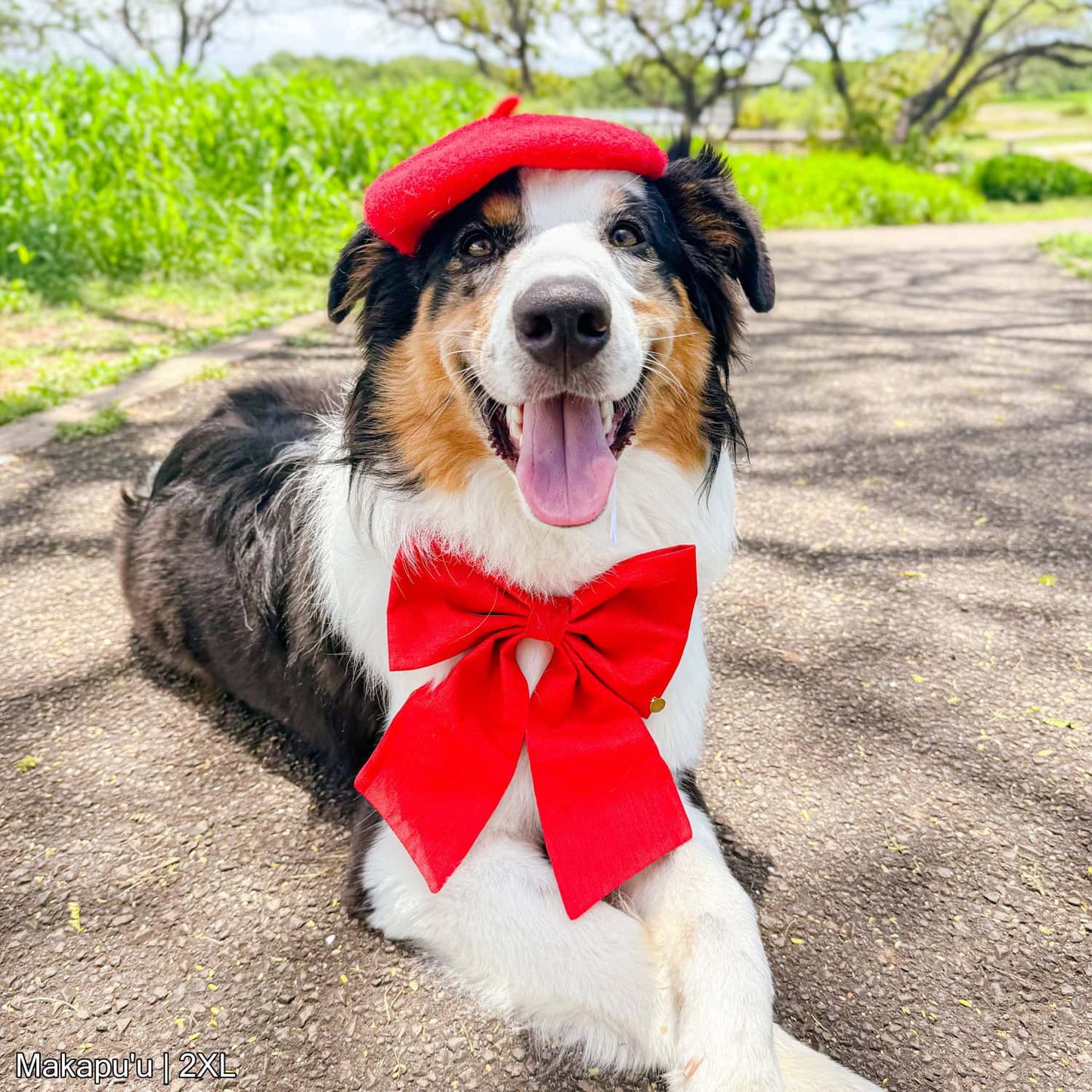 The Red Bow