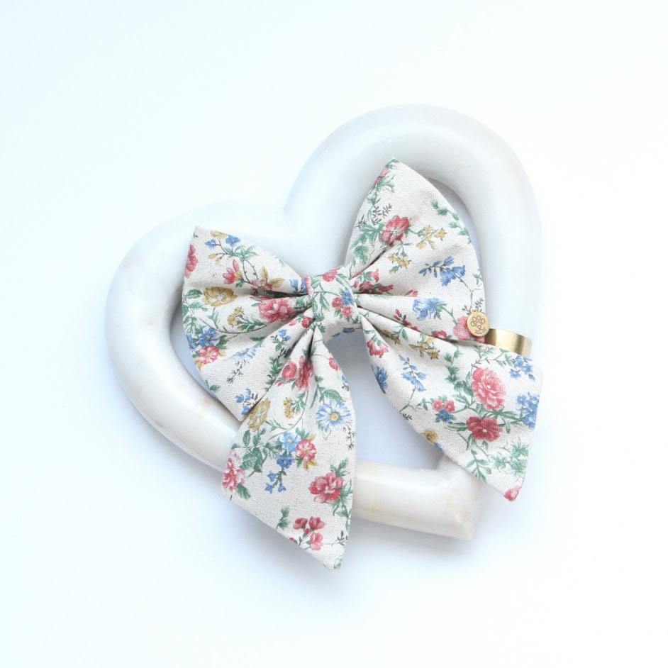 Coquette Bow | Colorful
