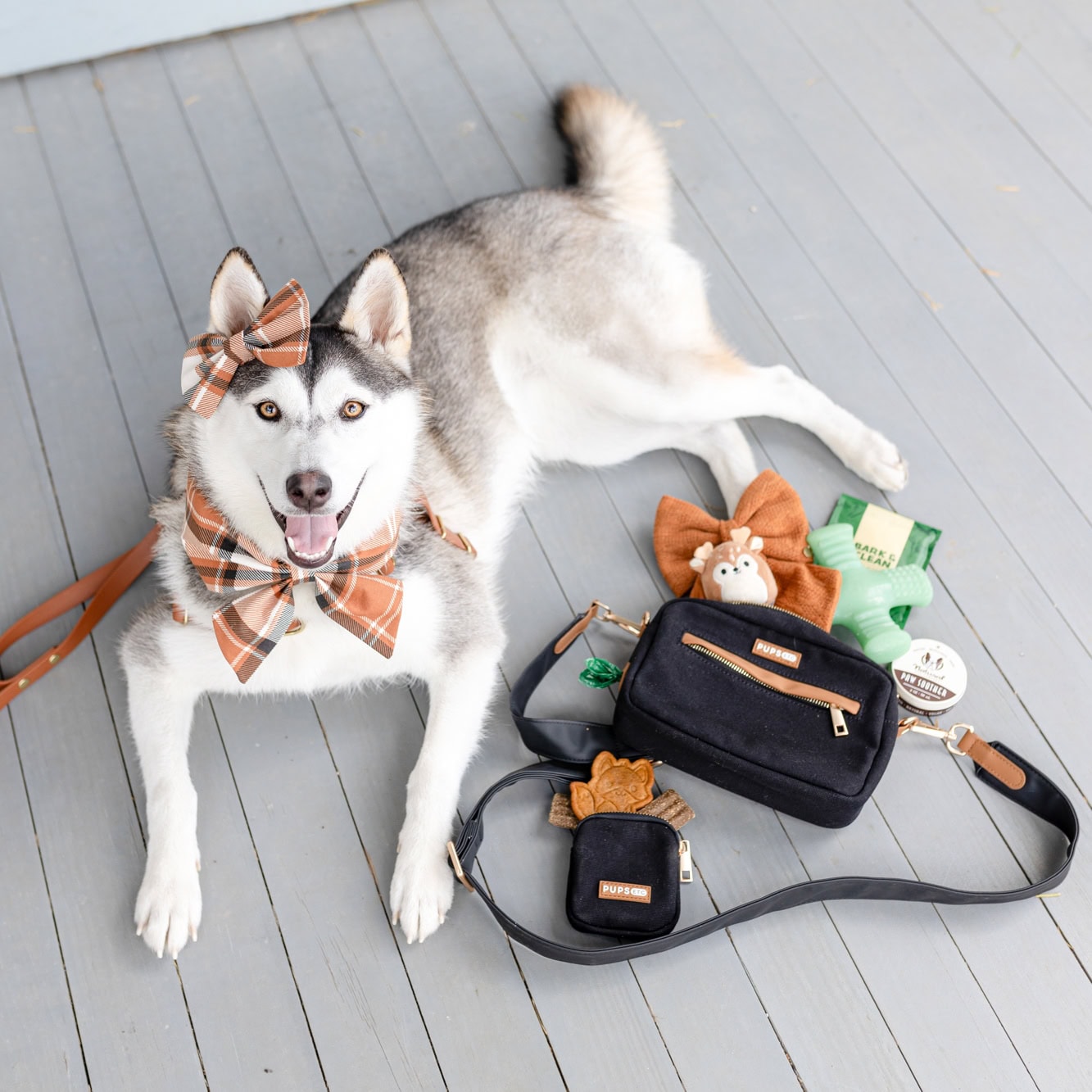 Pup Bag | Black