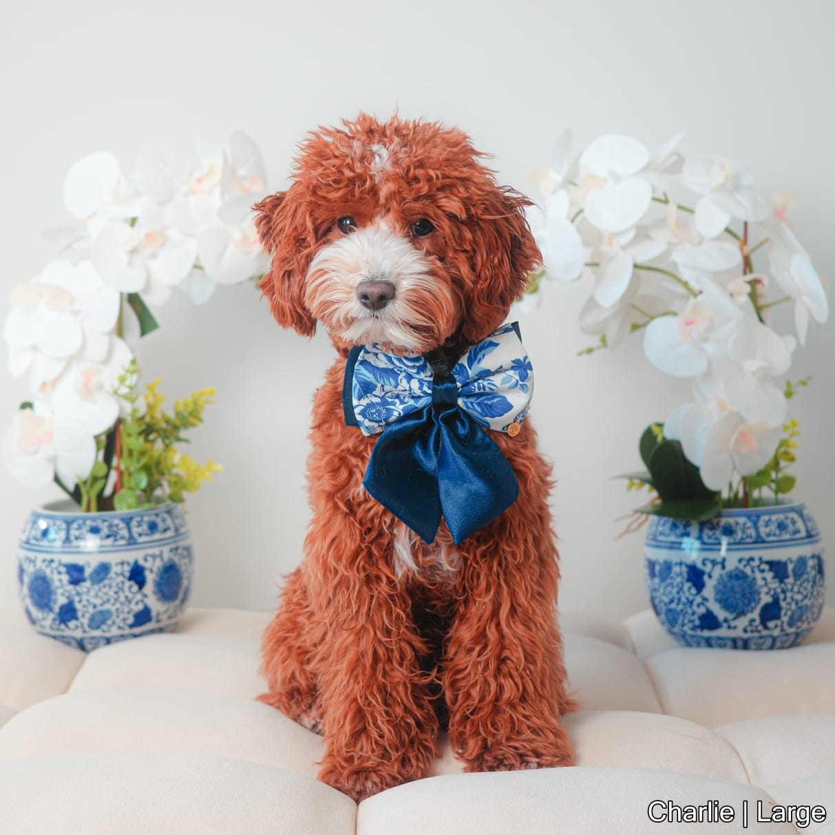 Porcelain Bow