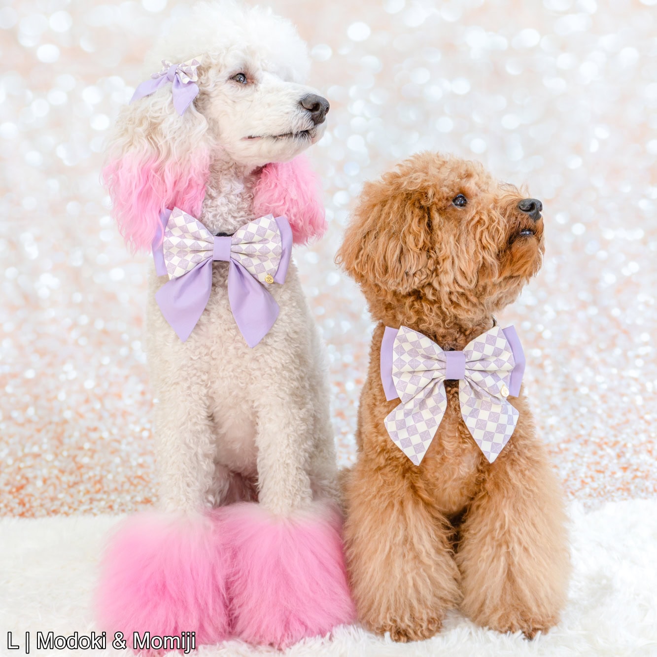 Harley Bow | Lilac