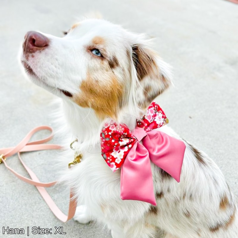 Spring Blossom (Red) Sailor Bow