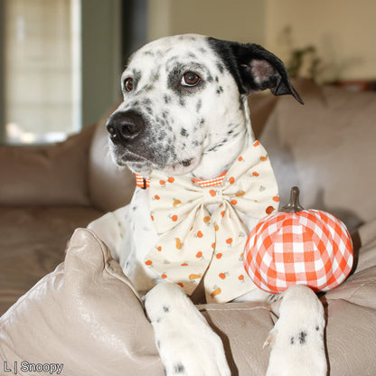 Little Pumpkin Bow