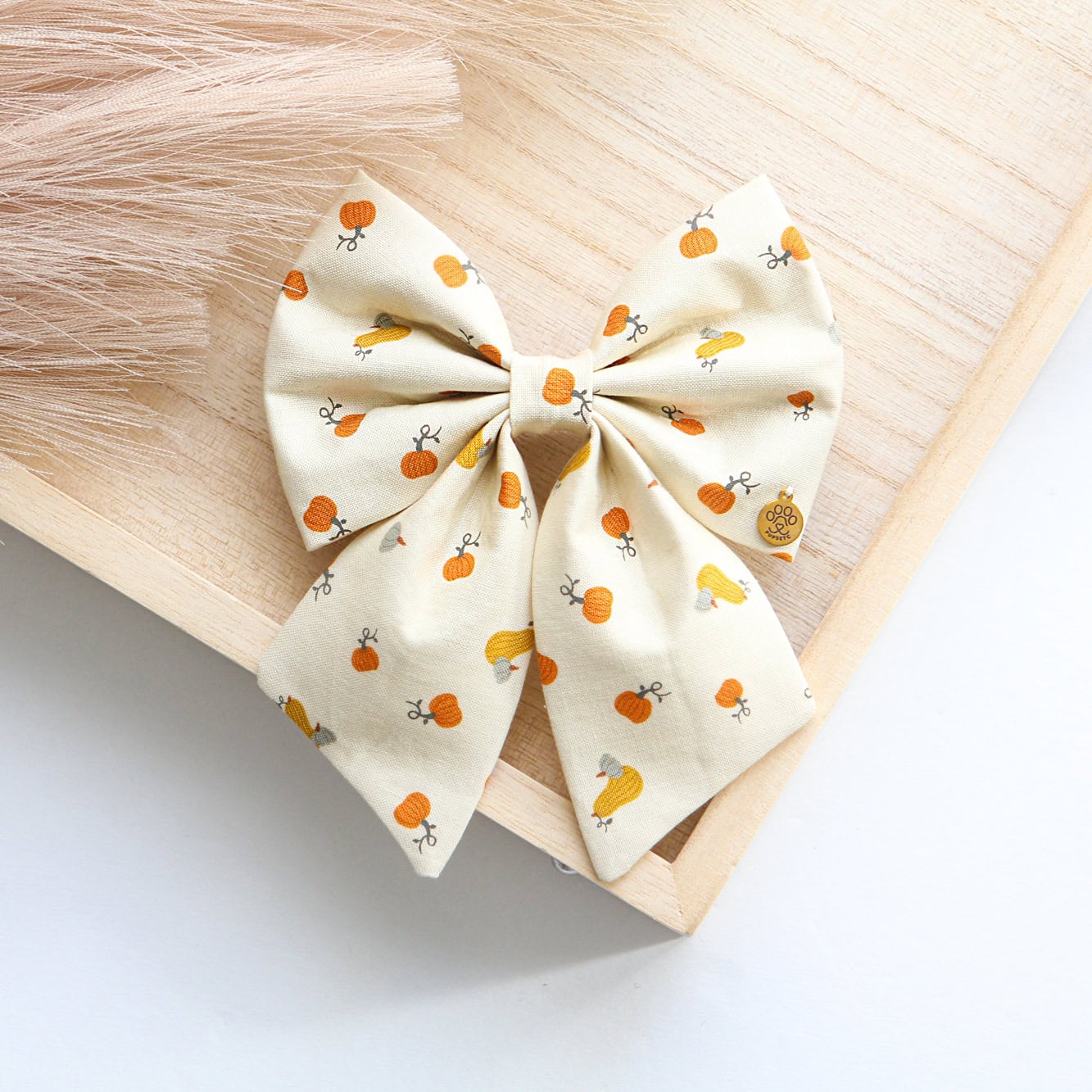 Little Pumpkin Bow