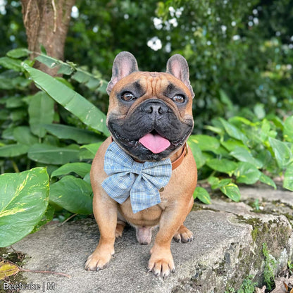 Beach Walk Bow